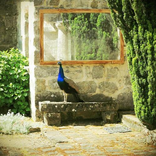 Domaine De Frevent Bed & Breakfast Echouboulains Exterior foto